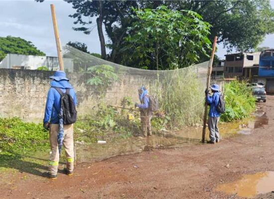 Prefeitura de Ilhéus inicia limpeza e roçagem no bairro Iguape
