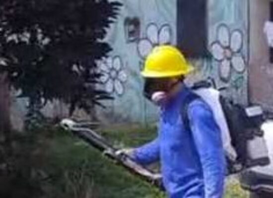 Agentes de Endemias realizam ação emergencial contra arboviroses em Urucutuca, distrito de Ilhéus