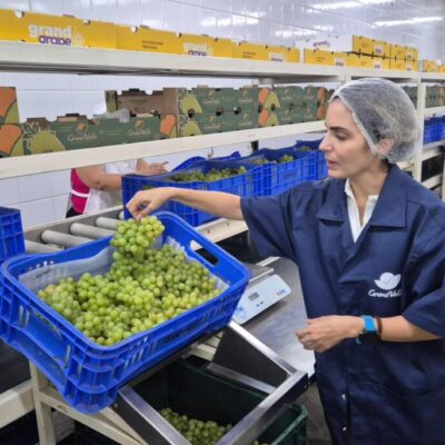 Novos investimentos e produtos inovadores impulsionam a economia no território Sertão do São Francisco