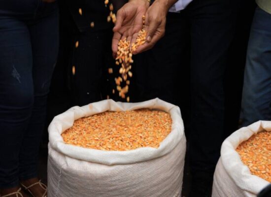 Combate à estiagem: Estado entrega milho, tanques-pipa e máquinas a municípios do Território de Identidade de Irecê