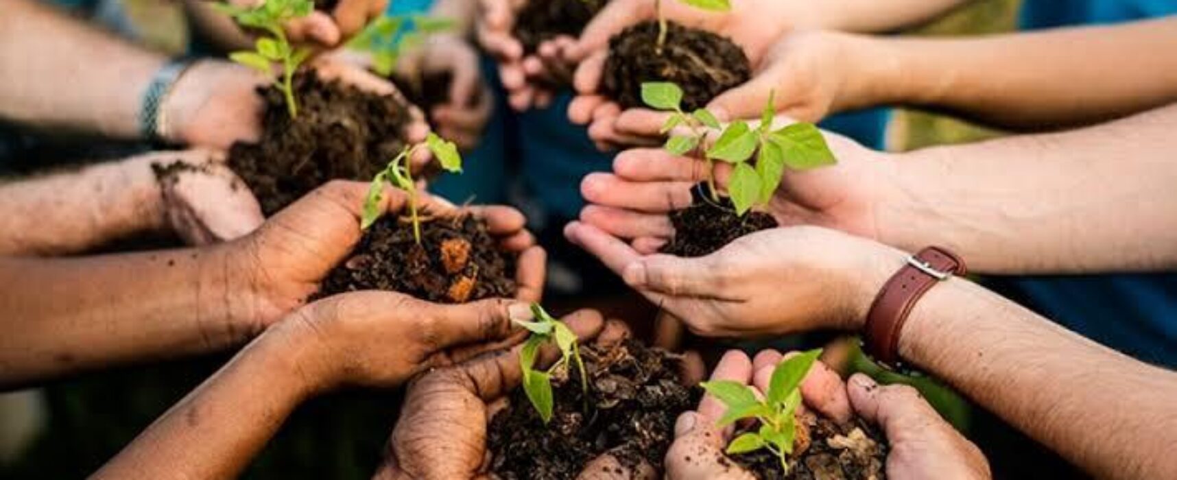 Museu do Maramata promove ações na Semana do Meio Ambiente