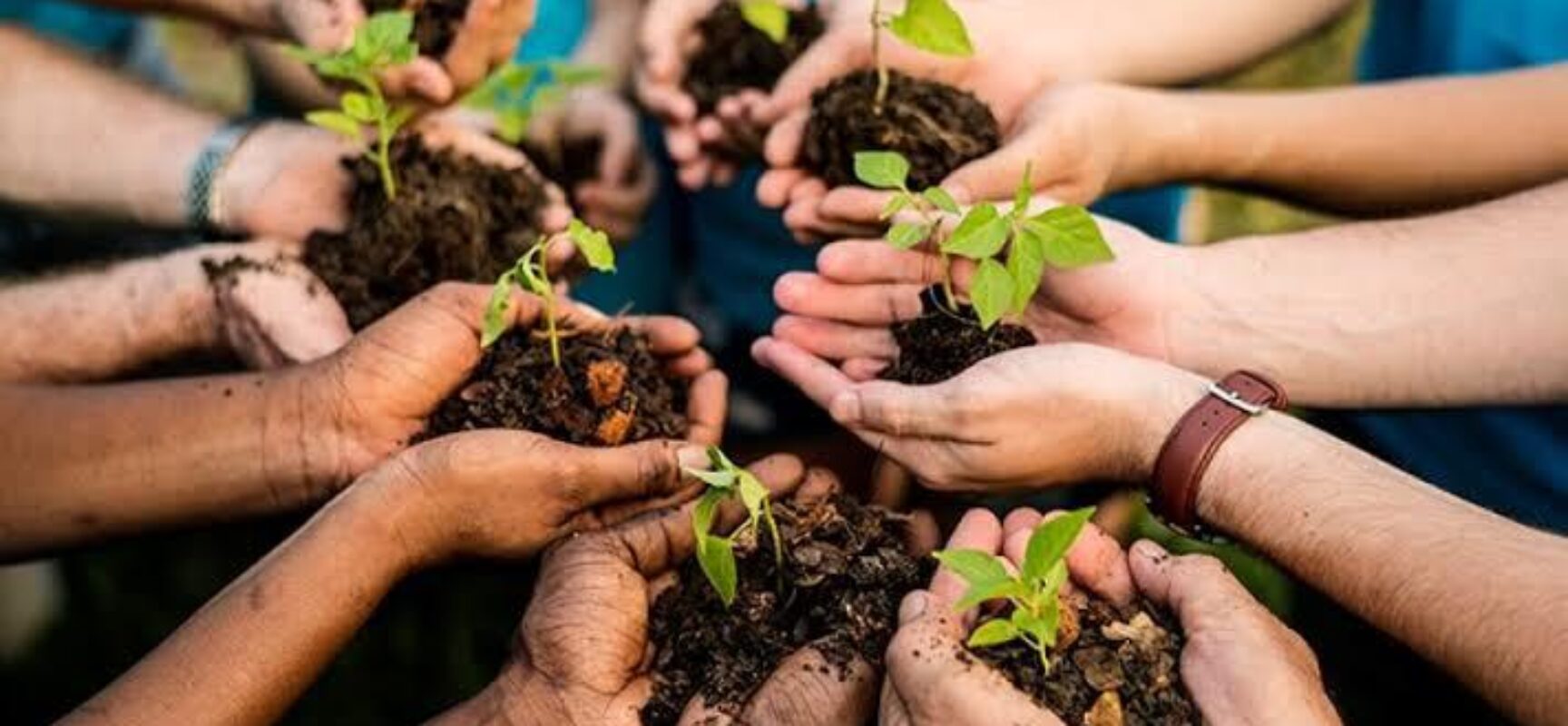 Museu do Maramata promove ações na Semana do Meio Ambiente