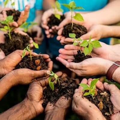 Museu do Maramata promove ações na Semana do Meio Ambiente