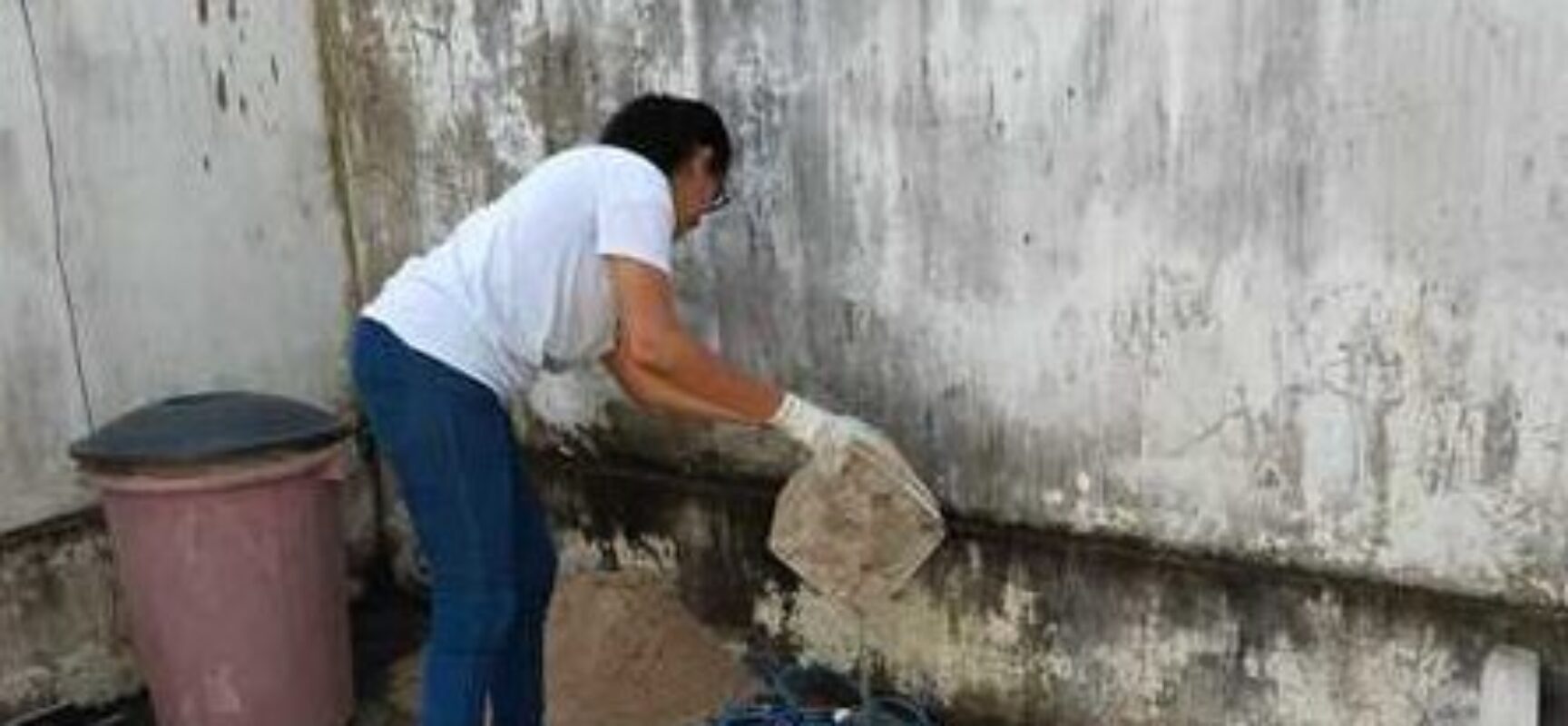 Agentes de Endemias realizam mutirão em Ilhéus para reforçar combate ao Aedes aegypti