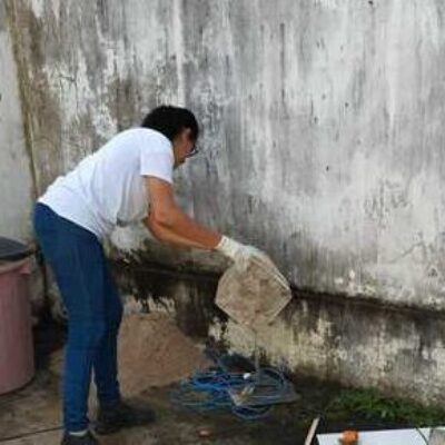 Agentes de Endemias realizam mutirão em Ilhéus para reforçar combate ao Aedes aegypti