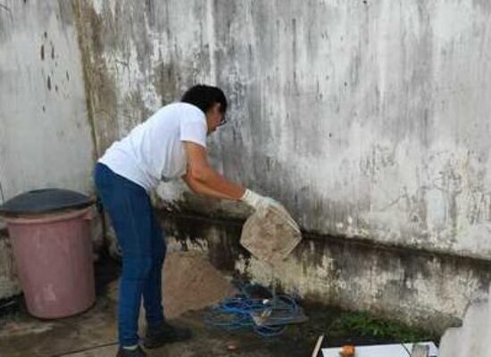 Agentes de Endemias realizam mutirão em Ilhéus para reforçar combate ao Aedes aegypti