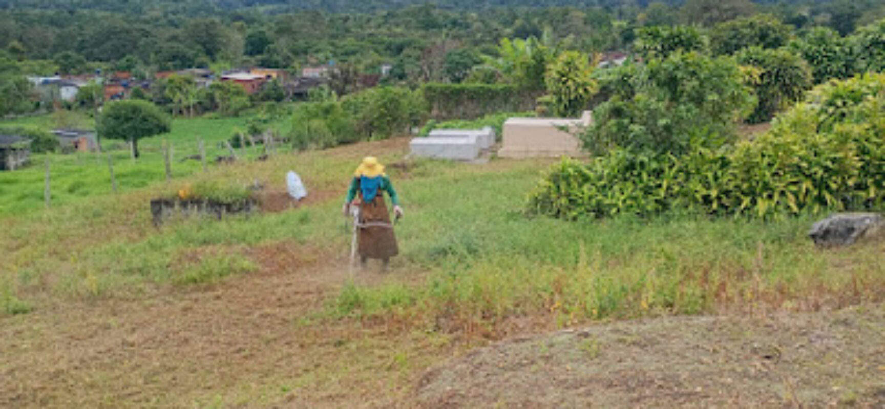 Prefeitura de Ilhéus realiza manutenção no Cemitério do Inema