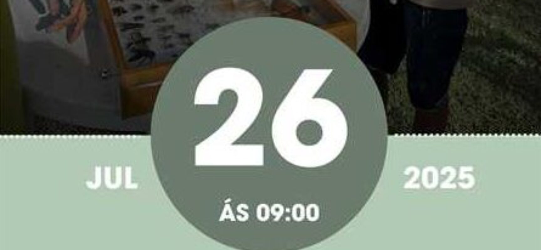 Prefeitura de Ilhéus promove segunda edição do Quintal do Museu com foco em educação ambiental