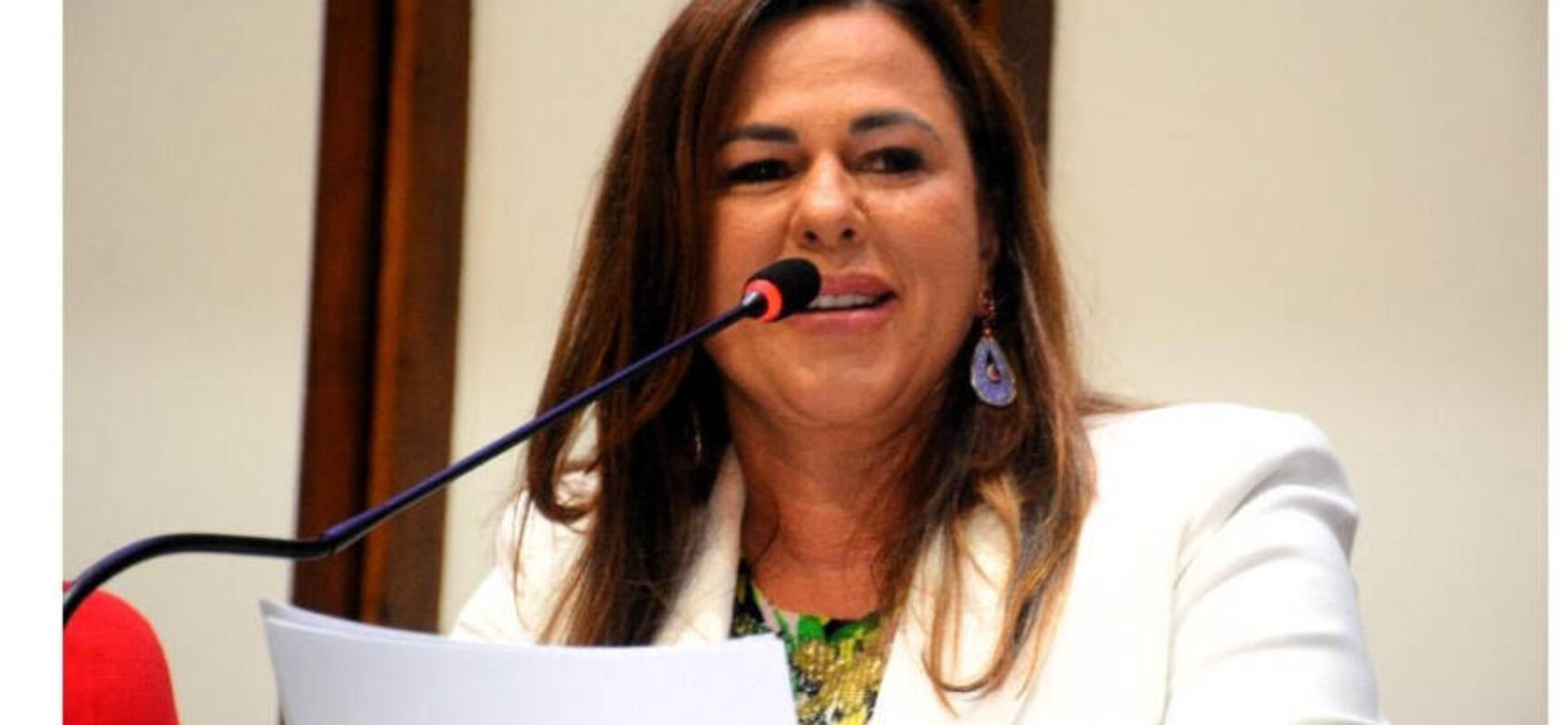 *Deputada Soane Galvão vota a favor e celebra aprovação do projeto que reconhece e valoriza os educadores da Bahia*