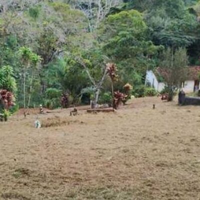 Prefeitura de Ilhéus realiza ação de limpeza no cemitério do Rio do Engenho