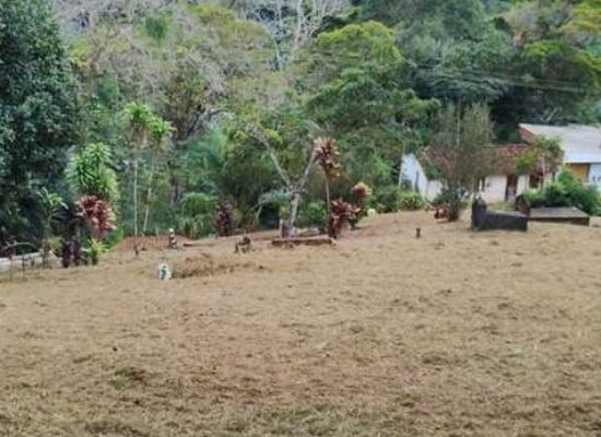 Prefeitura de Ilhéus realiza ação de limpeza no cemitério do Rio do Engenho