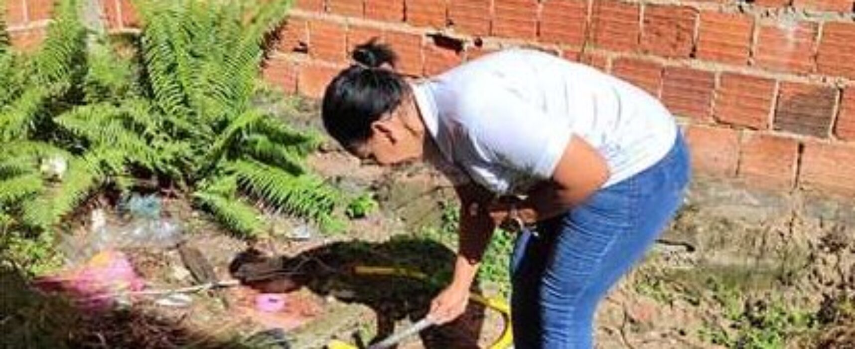 Mutirão de combate ao Aedes aegypti mobiliza bairros de Ilhéus