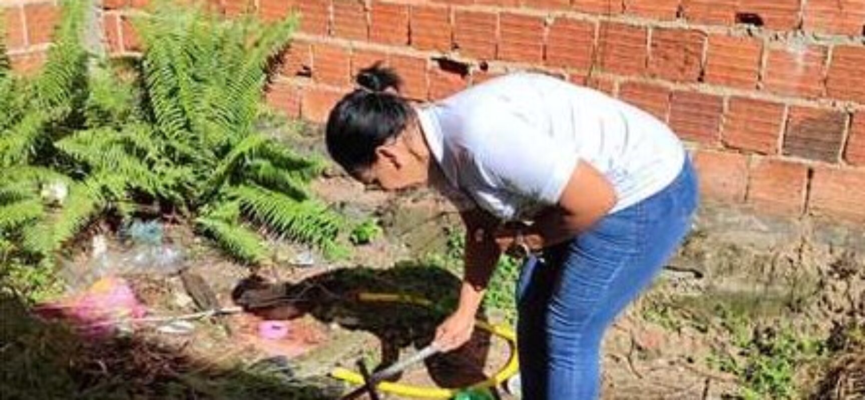 Mutirão de combate ao Aedes aegypti mobiliza bairros de Ilhéus