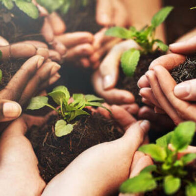 Ilhéus sedia encontro técnico para discutir os rumos do cooperativismo no sul da Bahia