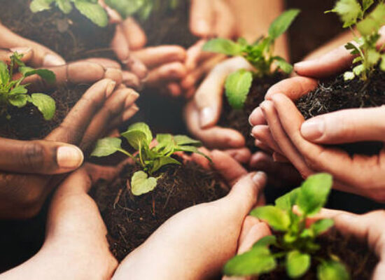 Ilhéus sedia encontro técnico para discutir os rumos do cooperativismo no sul da Bahia