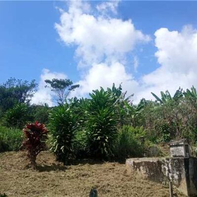 Prefeitura de Ilhéus realiza serviços de limpeza e manutenção no cemitério de Banco Central