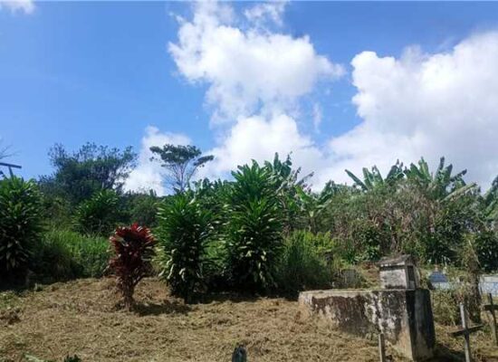 Prefeitura de Ilhéus realiza serviços de limpeza e manutenção no cemitério de Banco Central