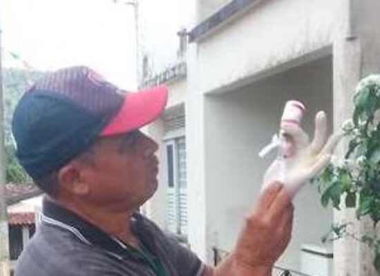 Ilhéus inicia Campanha de Vacinação Antirrábica 2025 para cães e gatos