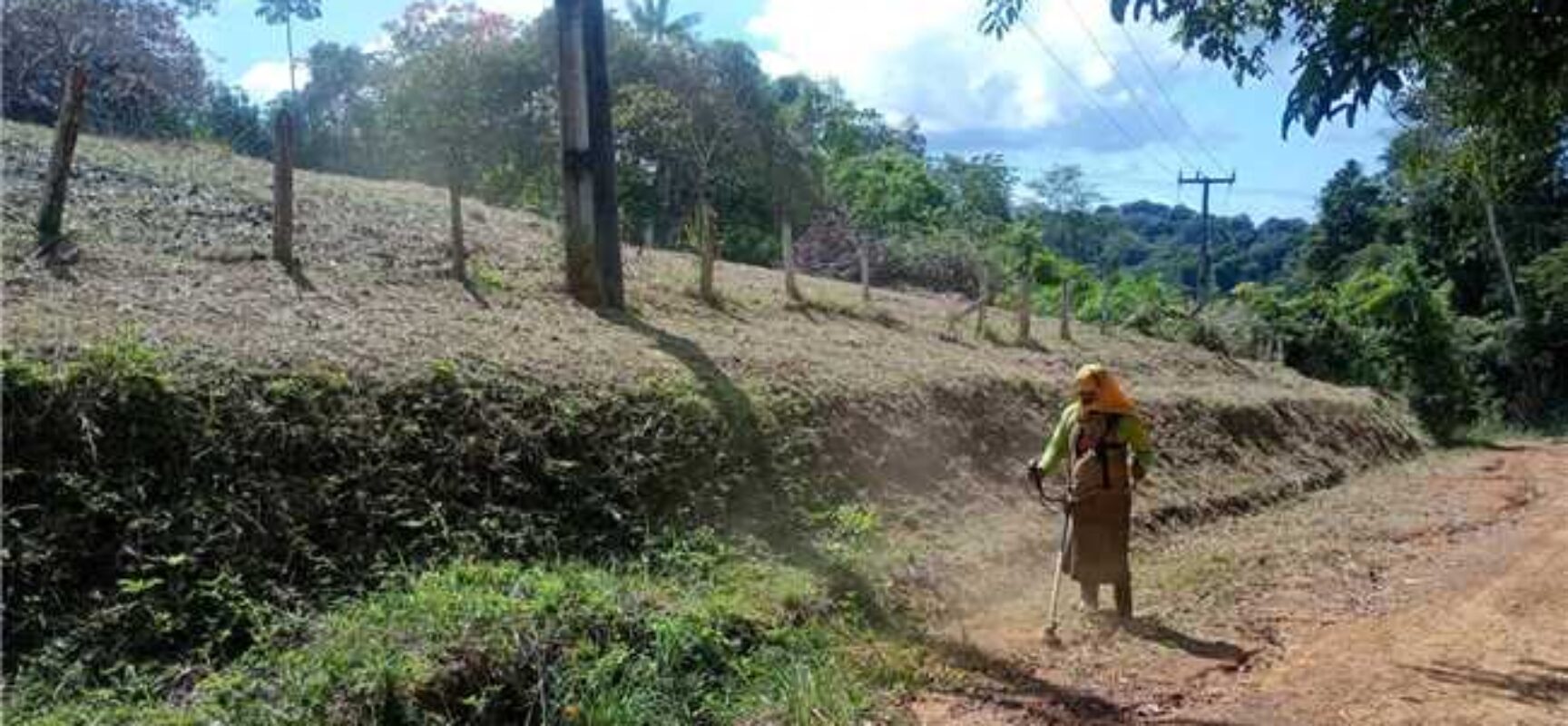 Prefeitura de Ilhéus intensifica manutenção nos cemitérios do Japu e da Vila do Cerrado Prefeitura de Ilhéus intensifica manutenção nos cemitérios do Japu e da Vila do Cerrado