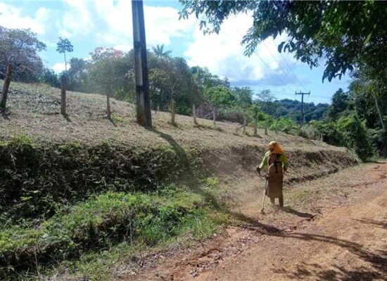 Prefeitura de Ilhéus intensifica manutenção nos cemitérios do Japu e da Vila do Cerrado Prefeitura de Ilhéus intensifica manutenção nos cemitérios do Japu e da Vila do Cerrado