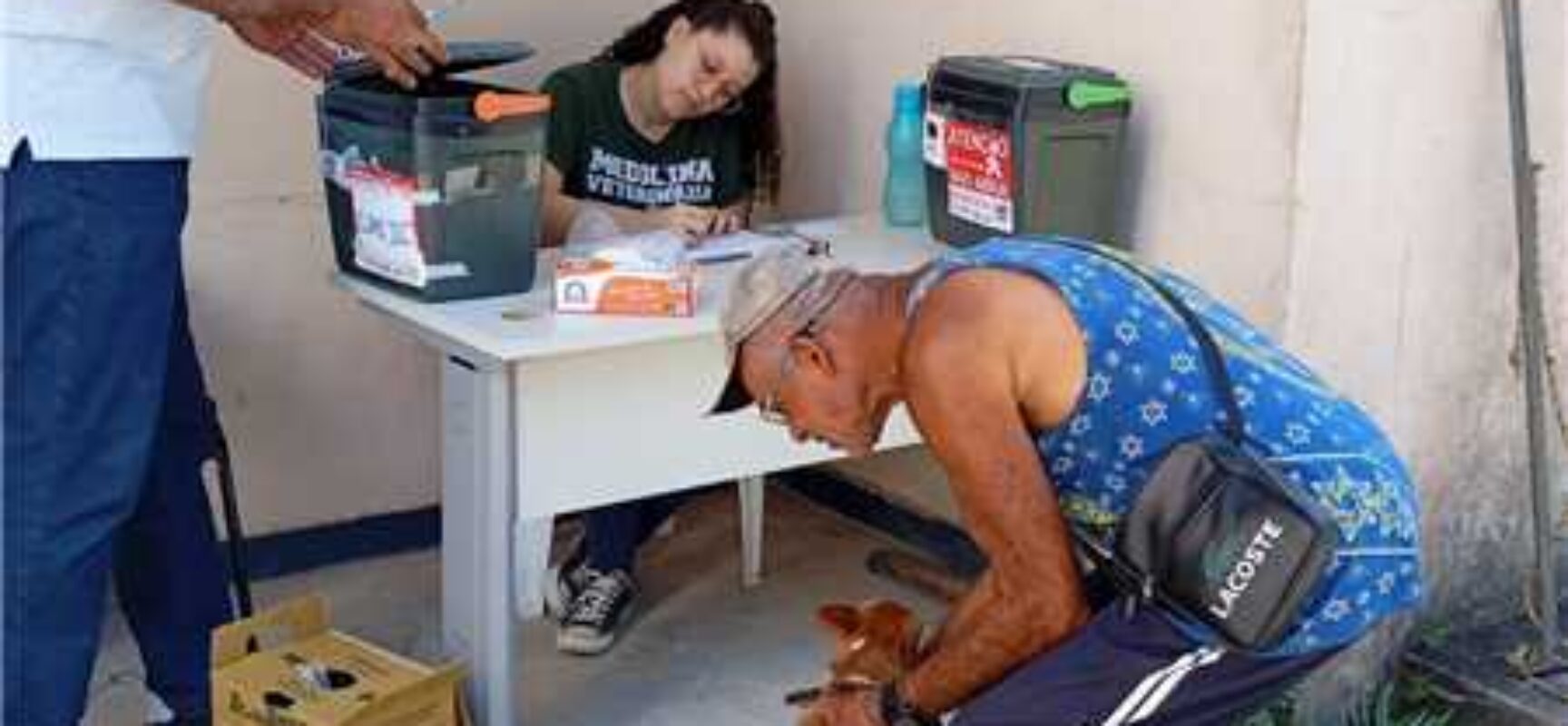 Dia D de vacinação contra a raiva imuniza quase 3 mil animais em Ilhéus