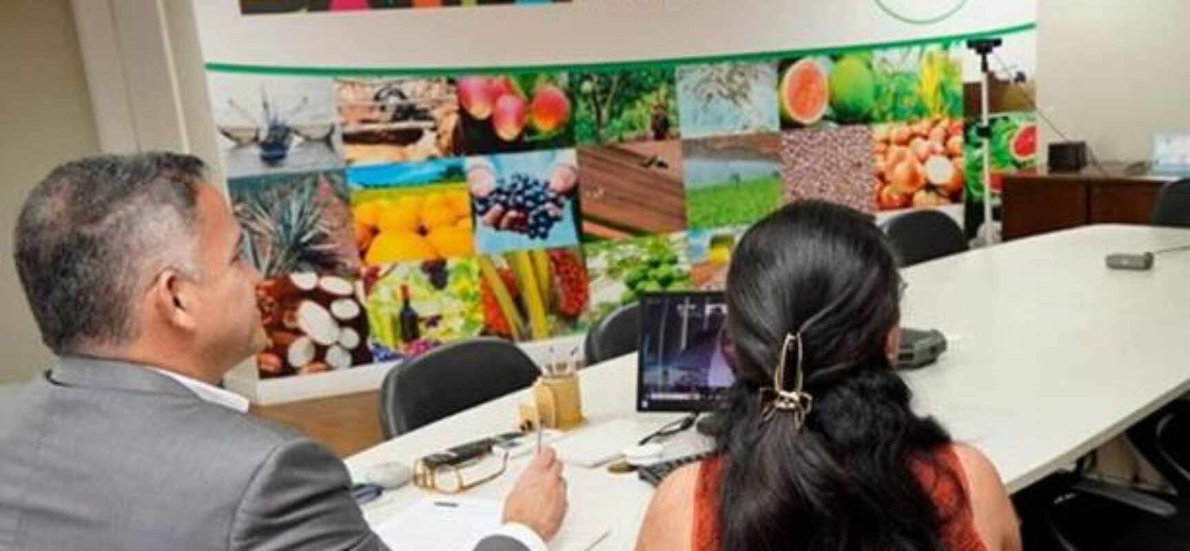 Bahia avança em parceria com Emirados Árabes para produção de tâmaras no semiárido