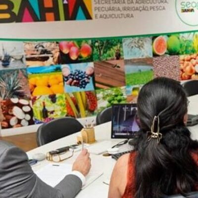 Bahia avança em parceria com Emirados Árabes para produção de tâmaras no semiárido