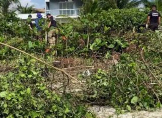 Em busca da arma do crime: polícia vasculha área onde corpos foram encontrados