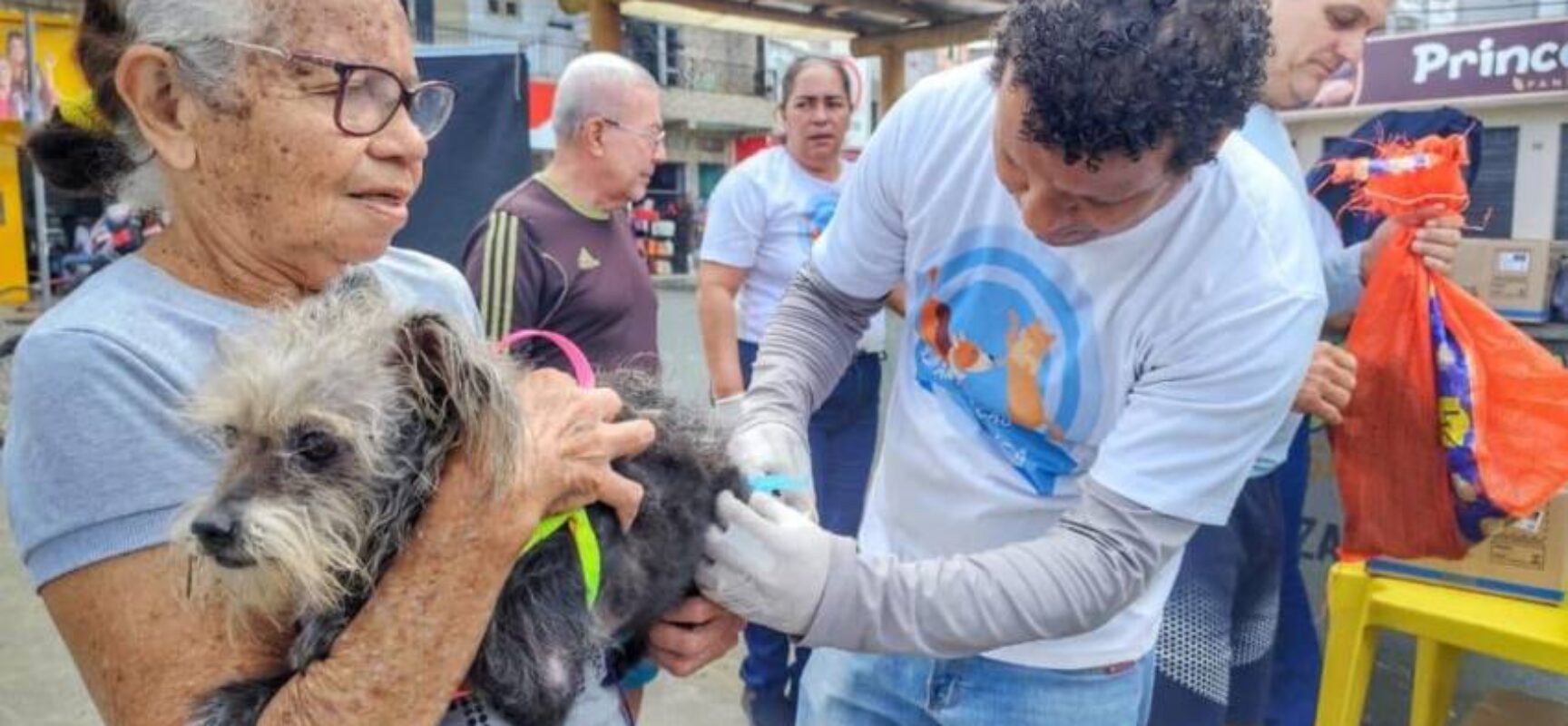 Prefeitura de Itabuna já vacinou cerca de 3.800 animais em três dias da Campanha de Vacinação Antirrábica
