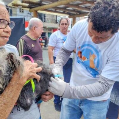 Prefeitura de Itabuna já vacinou cerca de 3.800 animais em três dias da Campanha de Vacinação Antirrábica