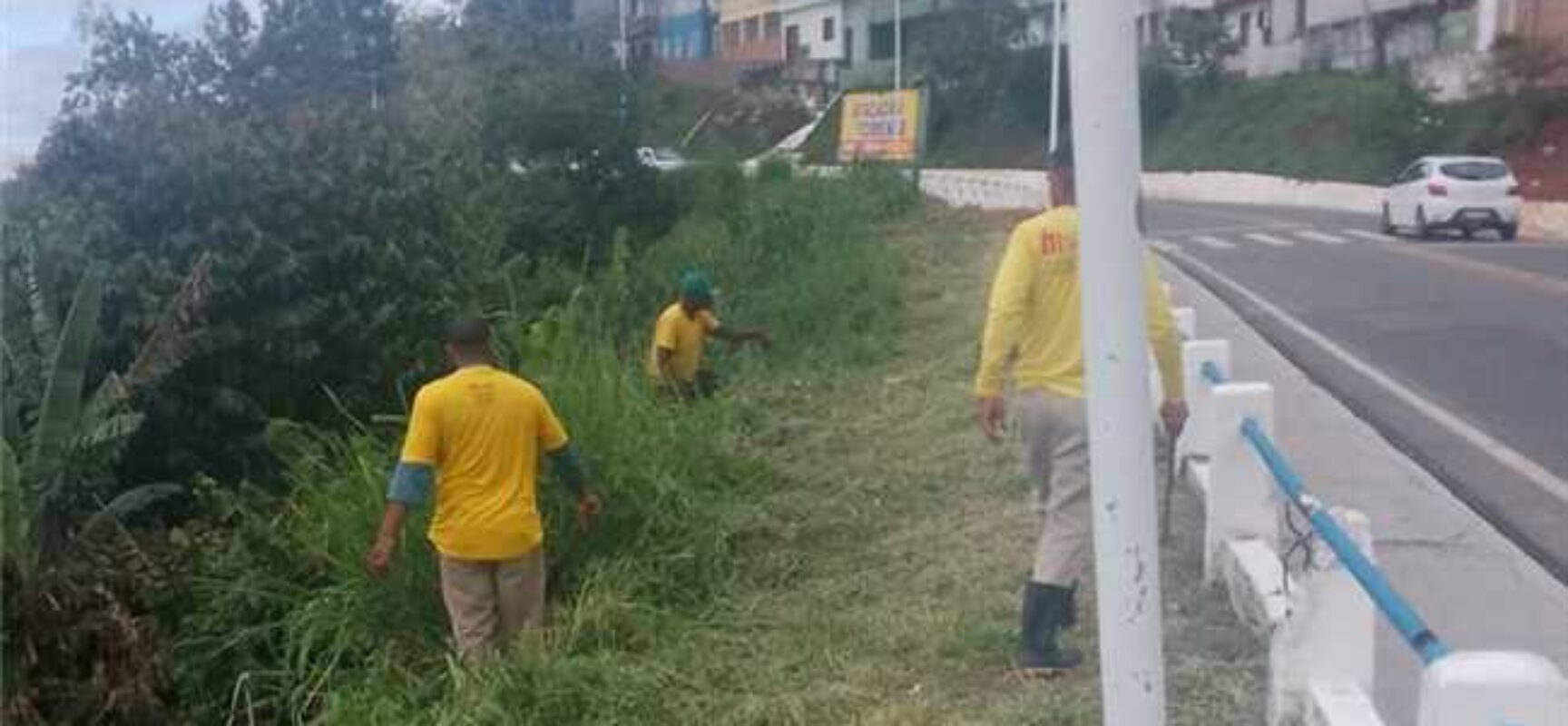 Prefeitura de Ilhéus realiza serviços de capinagem na Rua Amélia Nunes Prefeitura de Ilhéus realiza serviços de capinagem na Rua Amélia Nunes
