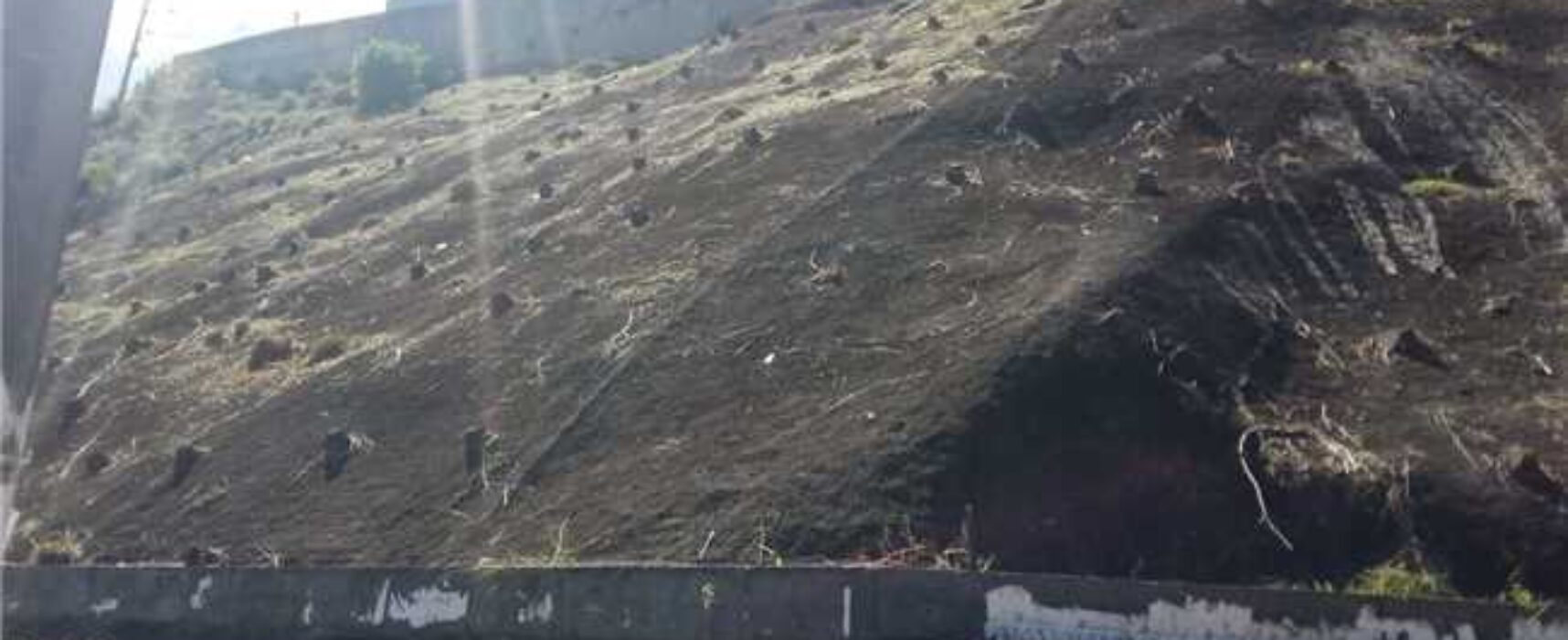 Prefeitura de Ilhéus intensifica serviços de roçagem em diversos pontos da cidade