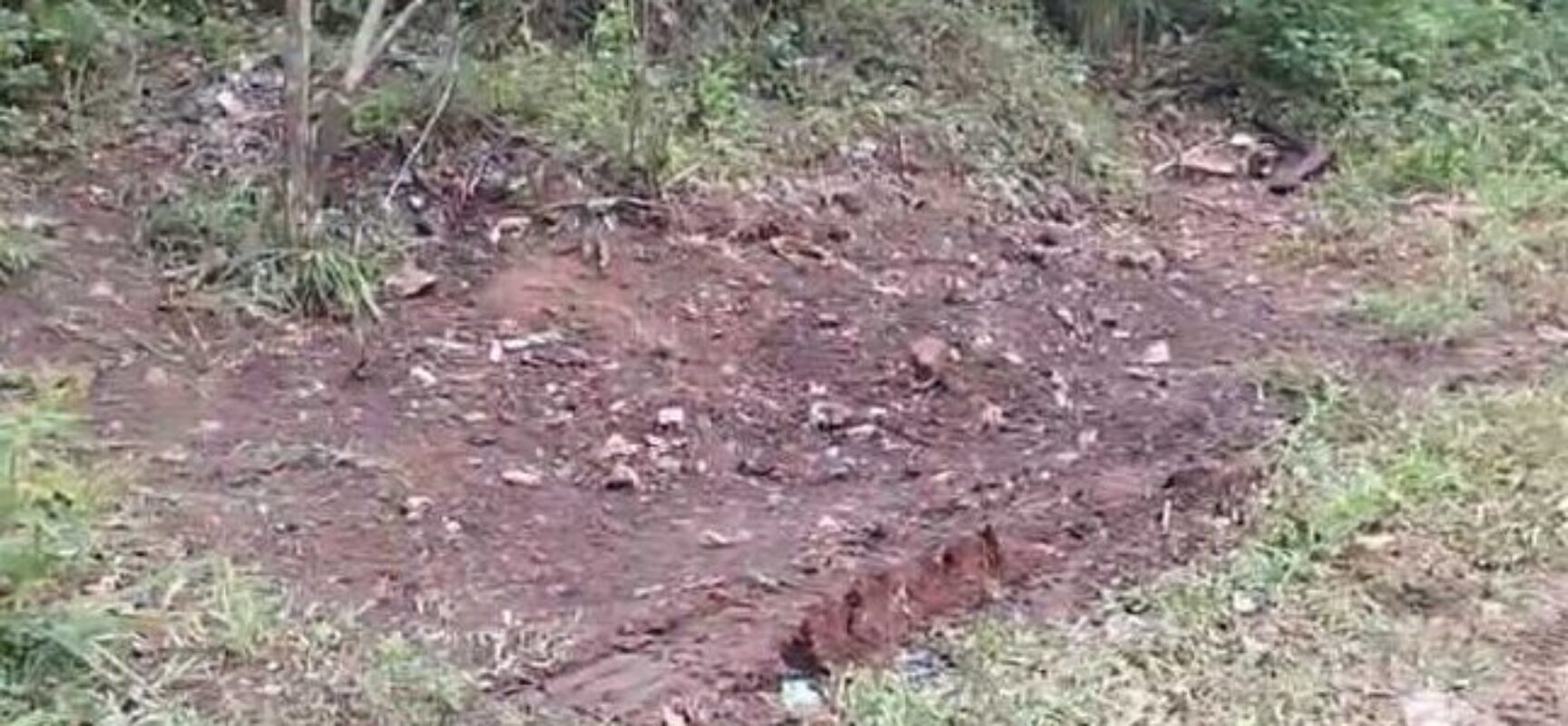 Prefeitura de Ilhéus retira lixo em ponto viciado no distrito de Inema