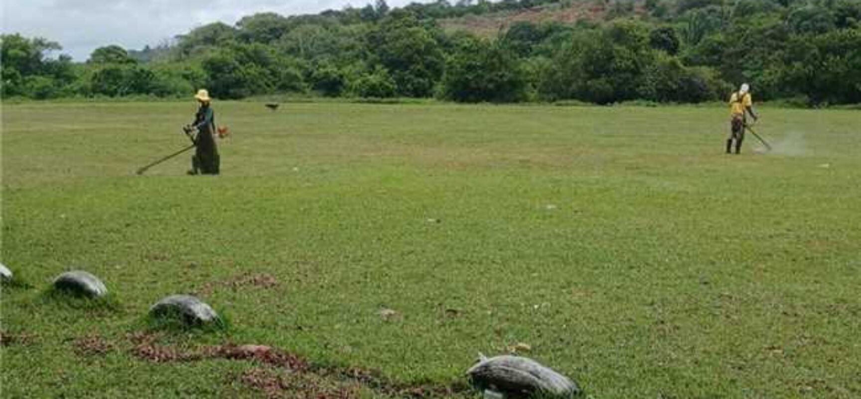 Prefeitura de Ilhéus realiza roçagem no campo da Barreira