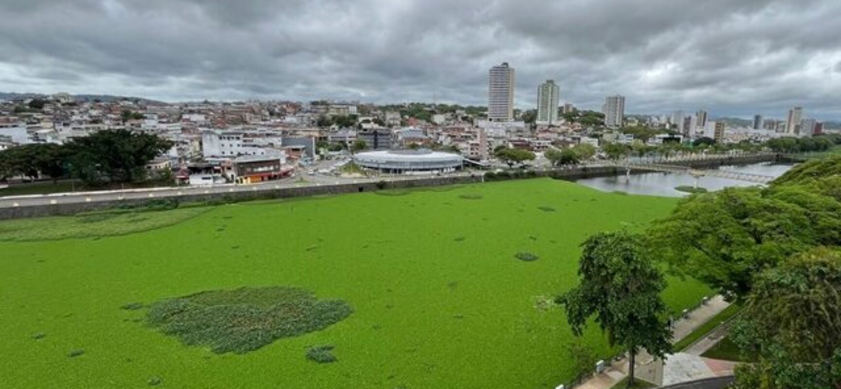 Prefeituras de Itabuna e Ilhéus vão assinar Termo de Cooperação para remoção de baronesas do Rio Cachoeira
