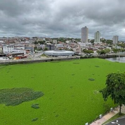 Prefeituras de Itabuna e Ilhéus vão assinar Termo de Cooperação para remoção de baronesas do Rio Cachoeira
