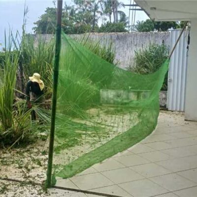 Prefeitura de Ilhéus realiza serviços de limpeza e manutenção no CADHII