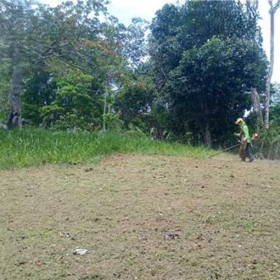 Prefeitura de Ilhéus realiza serviços de limpeza no Cemitério do Japu