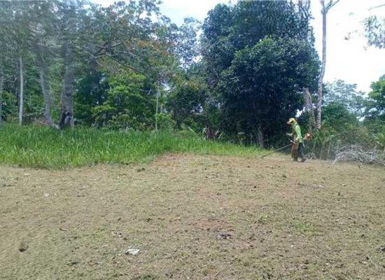 Prefeitura de Ilhéus realiza serviços de limpeza no Cemitério do Japu