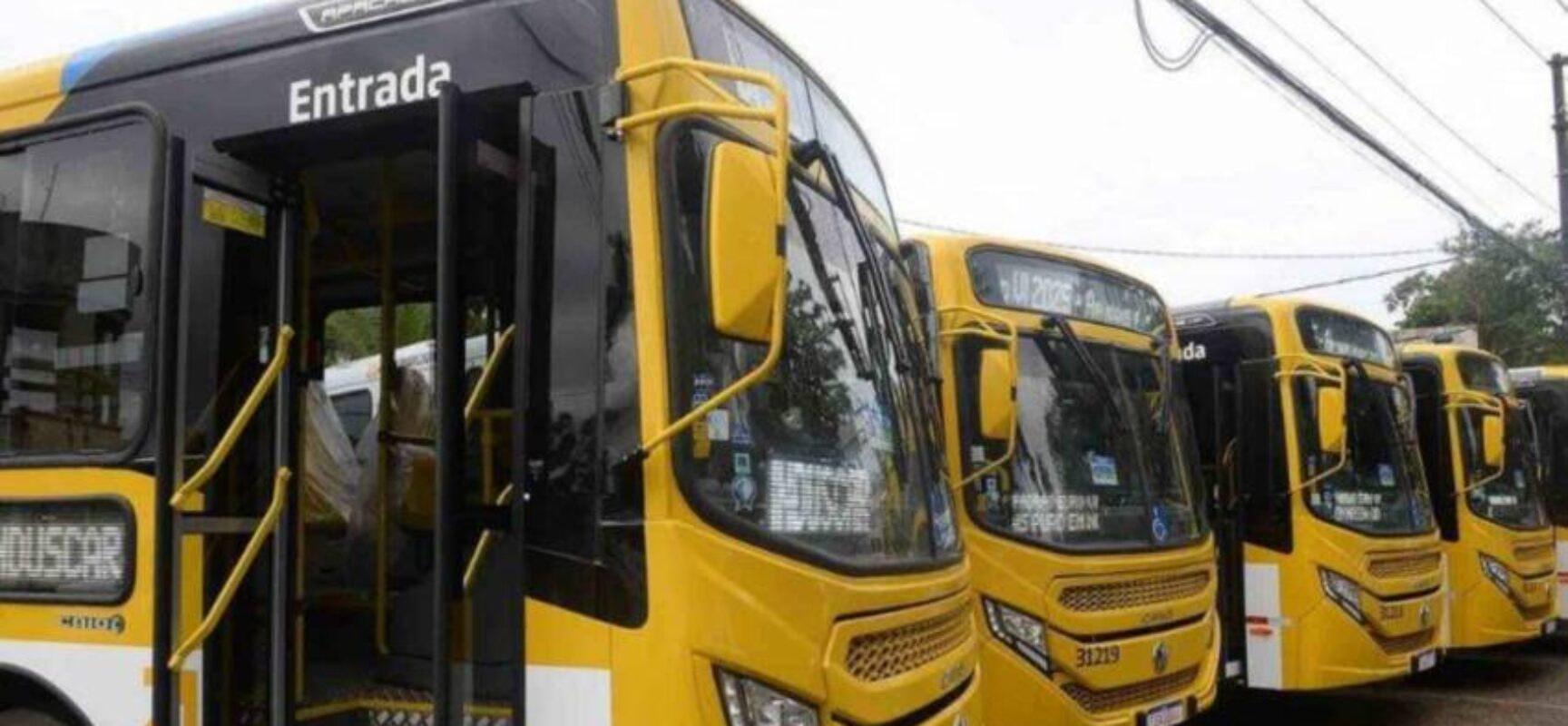 Governo federal autoriza empréstimo de R$ 264 milhões para renovação da frota de ônibus em Salvador