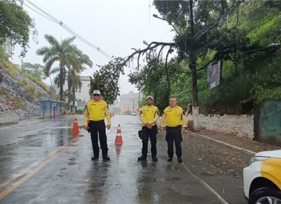 Prefeitura de Ilhéus age de forma imediata para minimizar impactos das chuvas no município