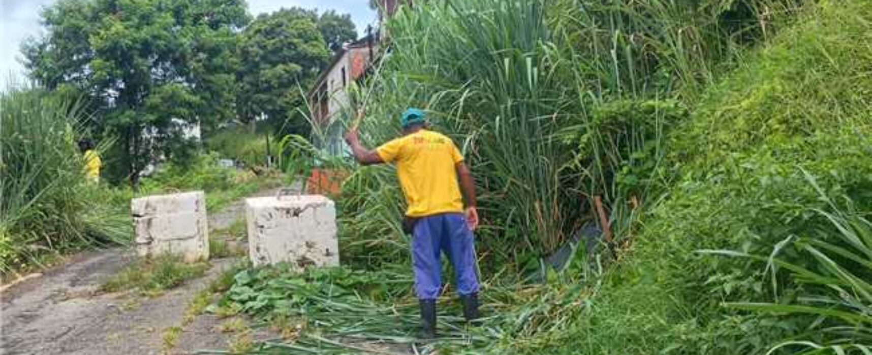 Prefeitura de Ilhéus realiza capinagem na Ladeira do Alto da Tapera