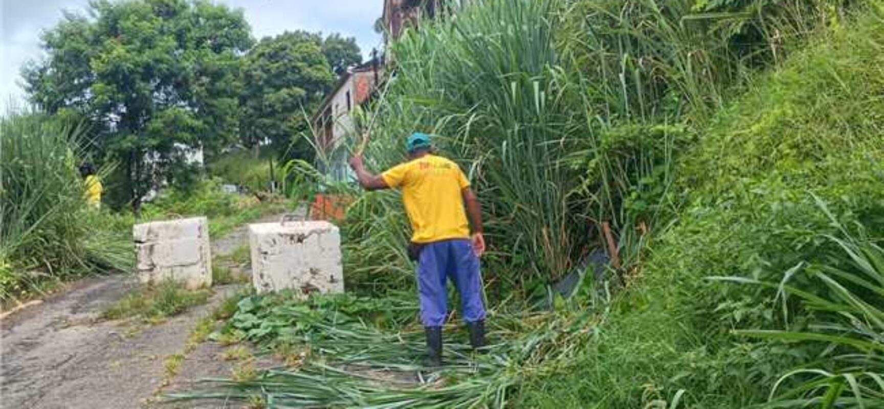Prefeitura de Ilhéus realiza capinagem na Ladeira do Alto da Tapera