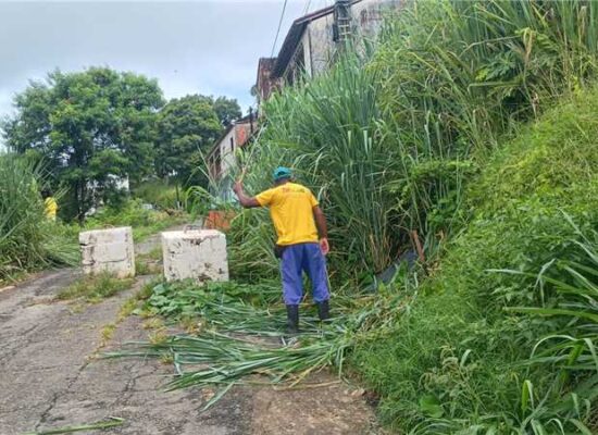 Prefeitura de Ilhéus realiza capinagem na Ladeira do Alto da Tapera