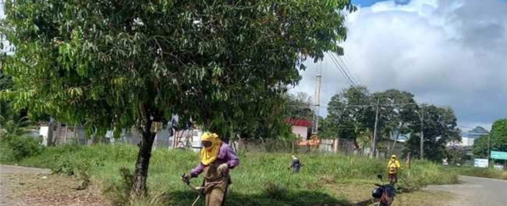 Prefeitura de Ilhéus realiza limpeza e roçagem no Centro Industrial do Iguape
