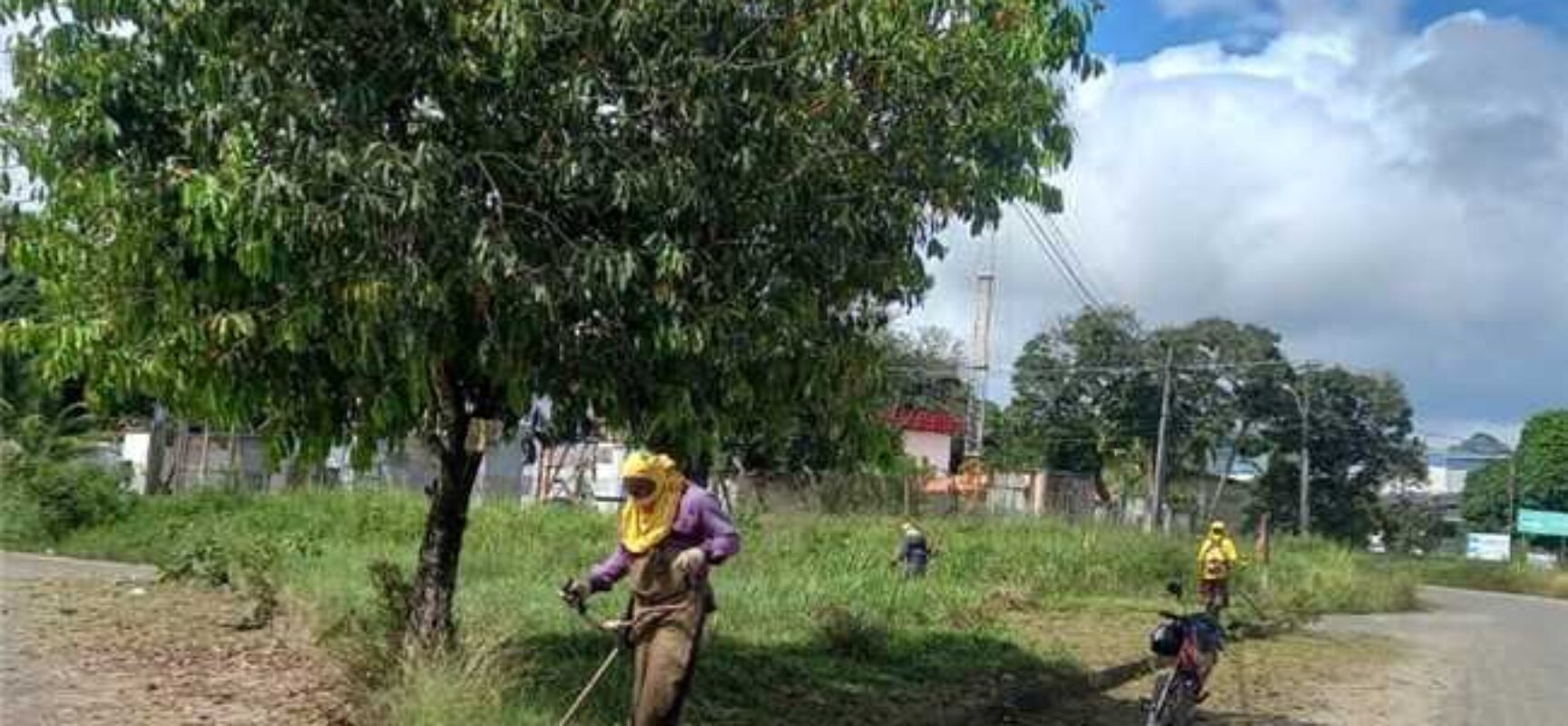 Prefeitura de Ilhéus realiza limpeza e roçagem no Centro Industrial do Iguape