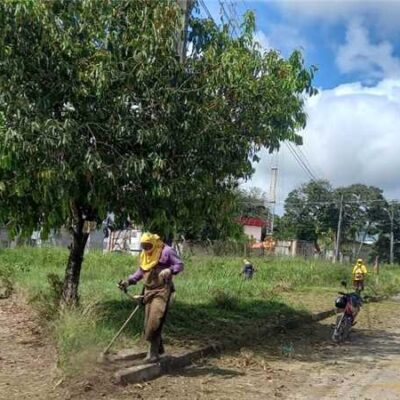 Prefeitura de Ilhéus realiza limpeza e roçagem no Centro Industrial do Iguape