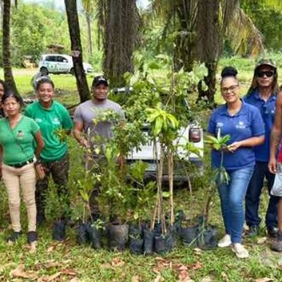 Prefeitura de Ilhéus leva Projeto Vivares ao bairro São Domingos e realiza plantio de árvores