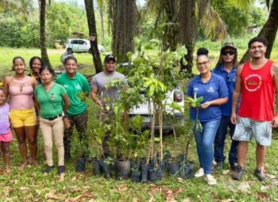 Prefeitura de Ilhéus leva Projeto Vivares ao bairro São Domingos e realiza plantio de árvores