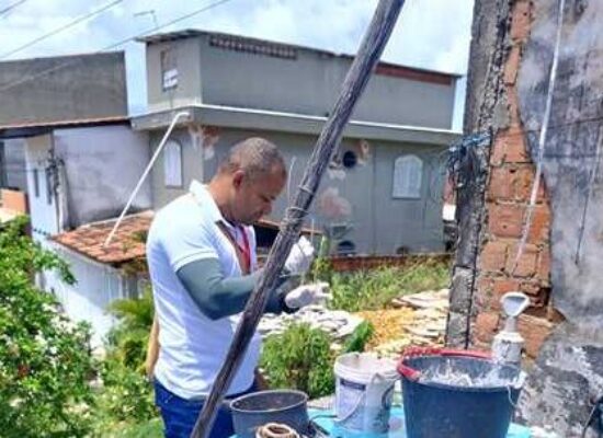 Ilhéus realiza 1º LIRAa de 2026 para mapear índice de infestação do Aedes aegypti